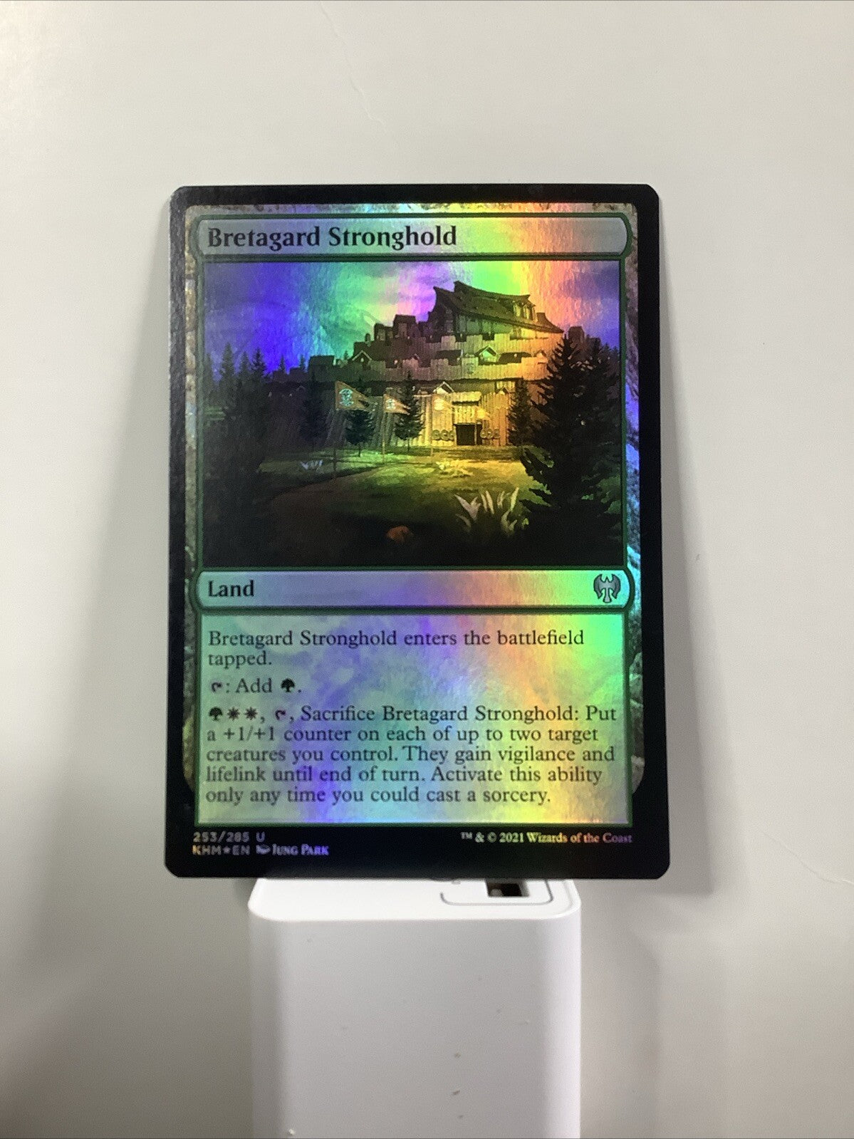 Bretagard Stronghold #253 foil finish from Kaldheim.