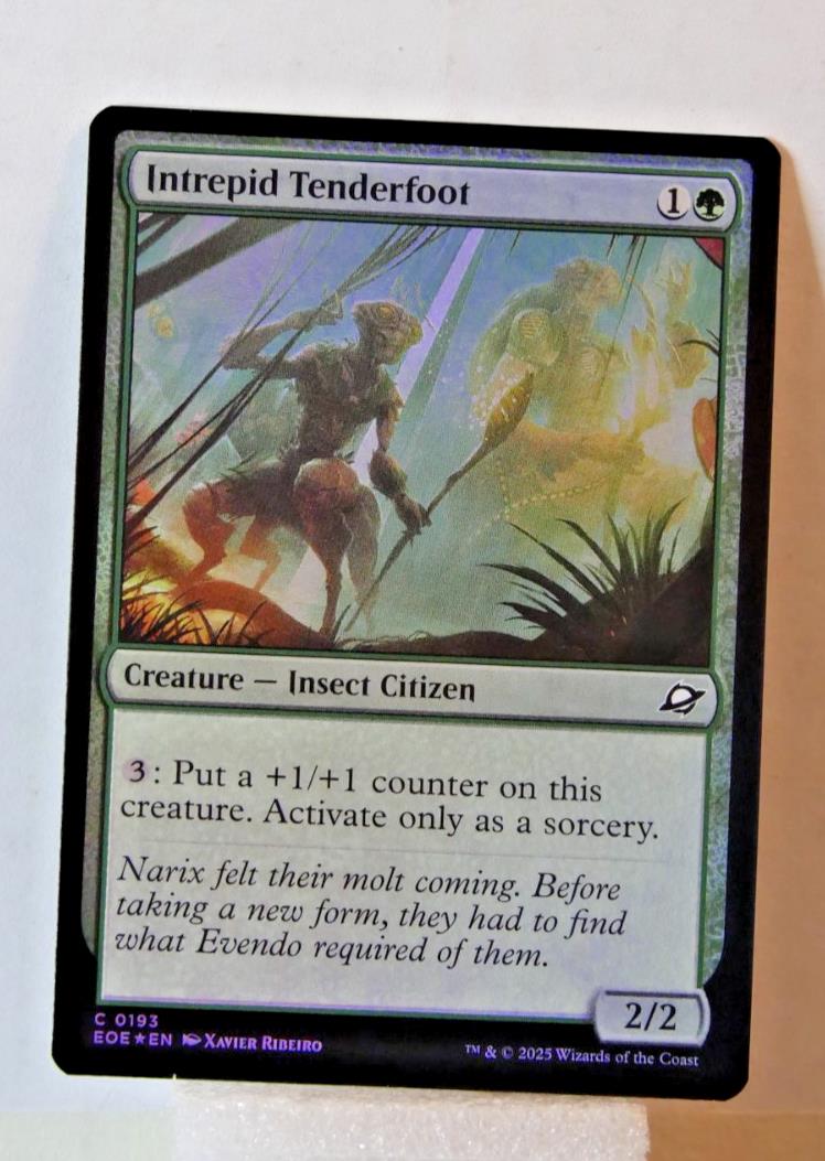 MTG EOE: Intrepid Tenderfoot (Creature) Edge of Eternities Foil Common 193