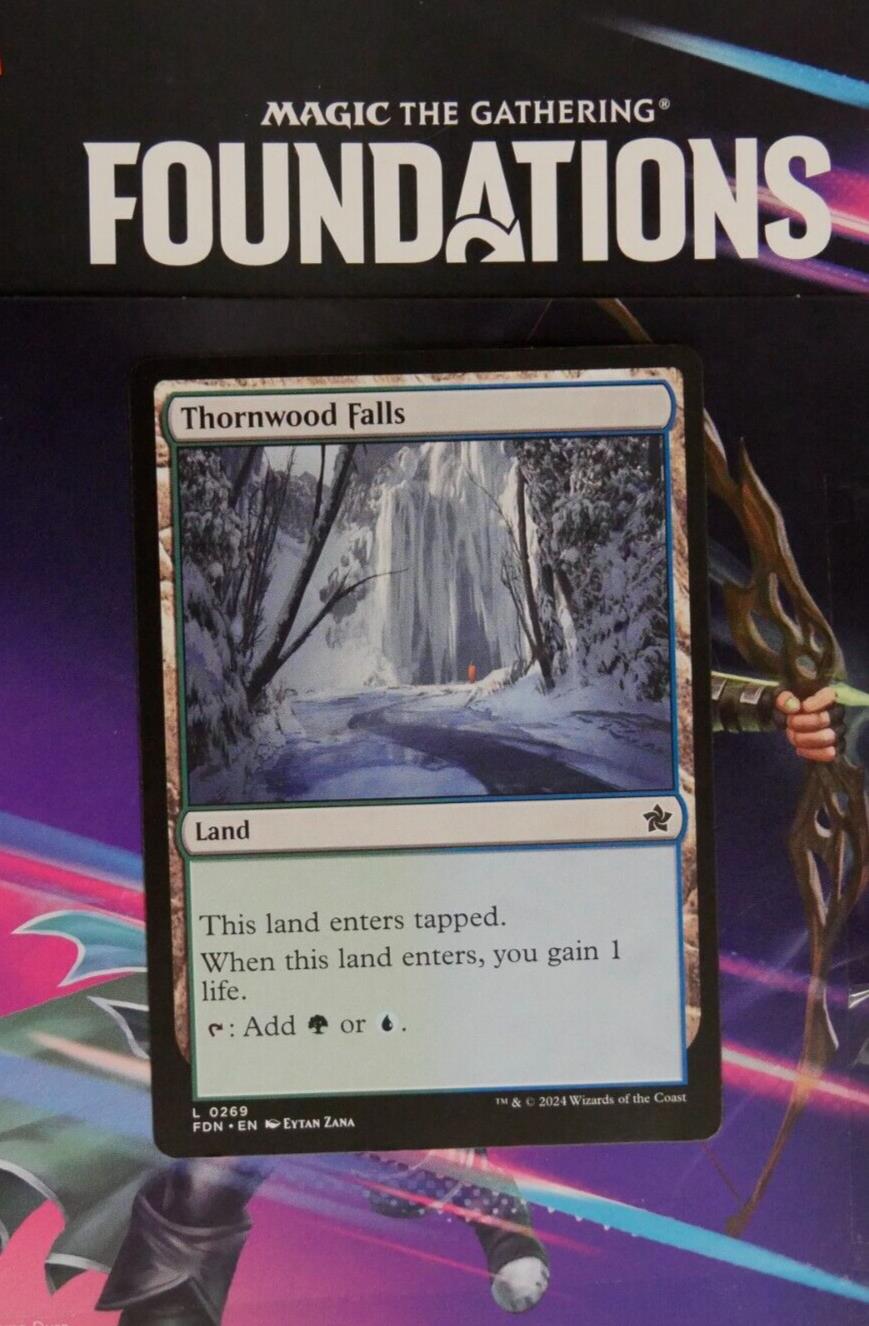 Thornwood Falls FDN #269 Land from Foundations.