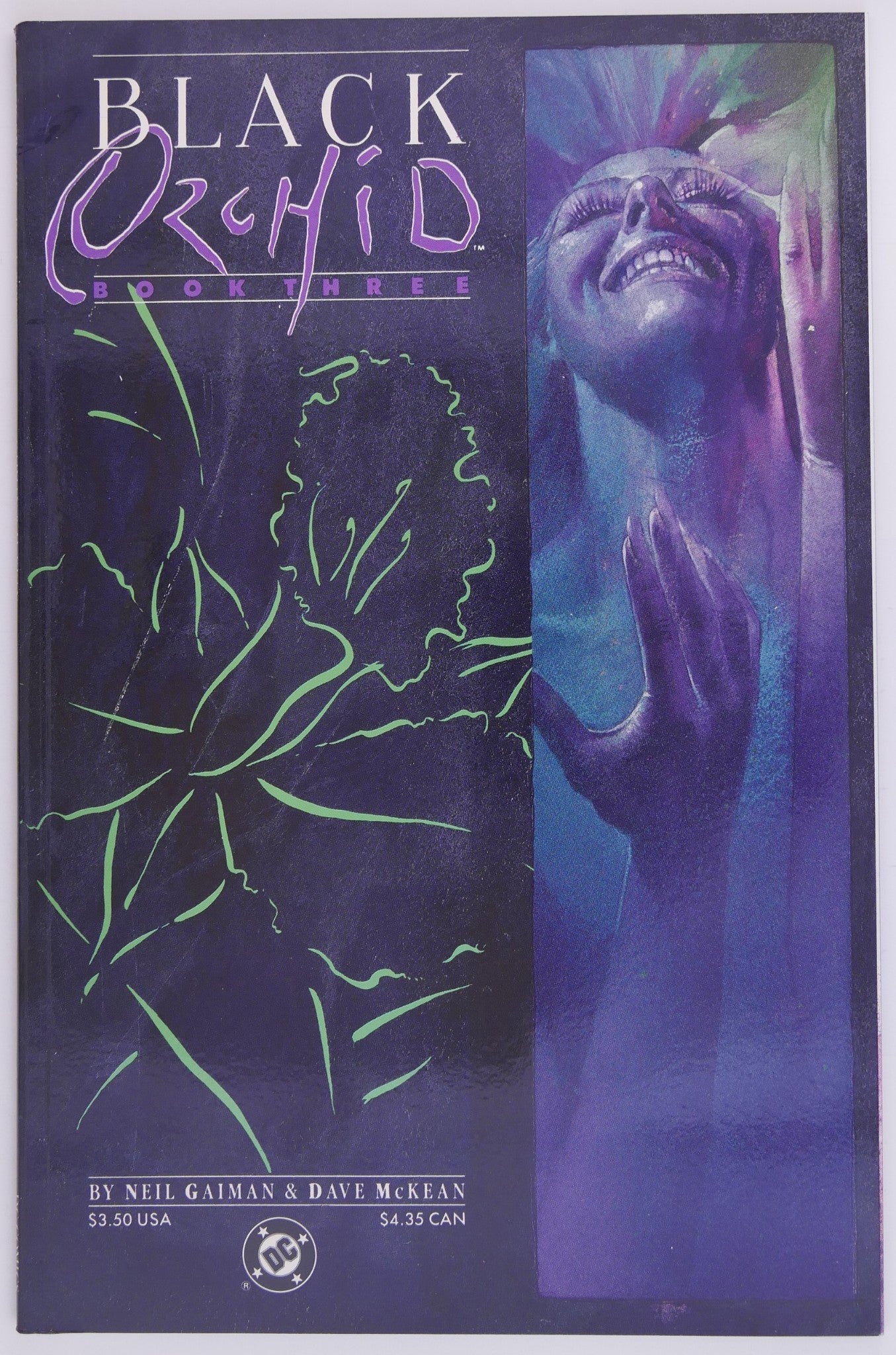 Black Orchid Book Three 1989 DC Gaiman McKean cover comic book