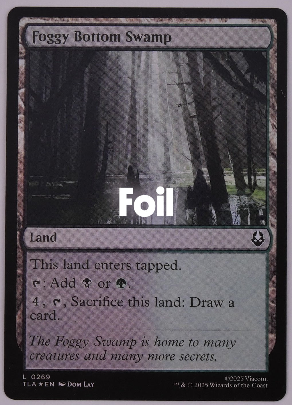 Foggy Bottom Swamp foil from TLA 0269 MTG dual land card with draw ability by DM Vault Co