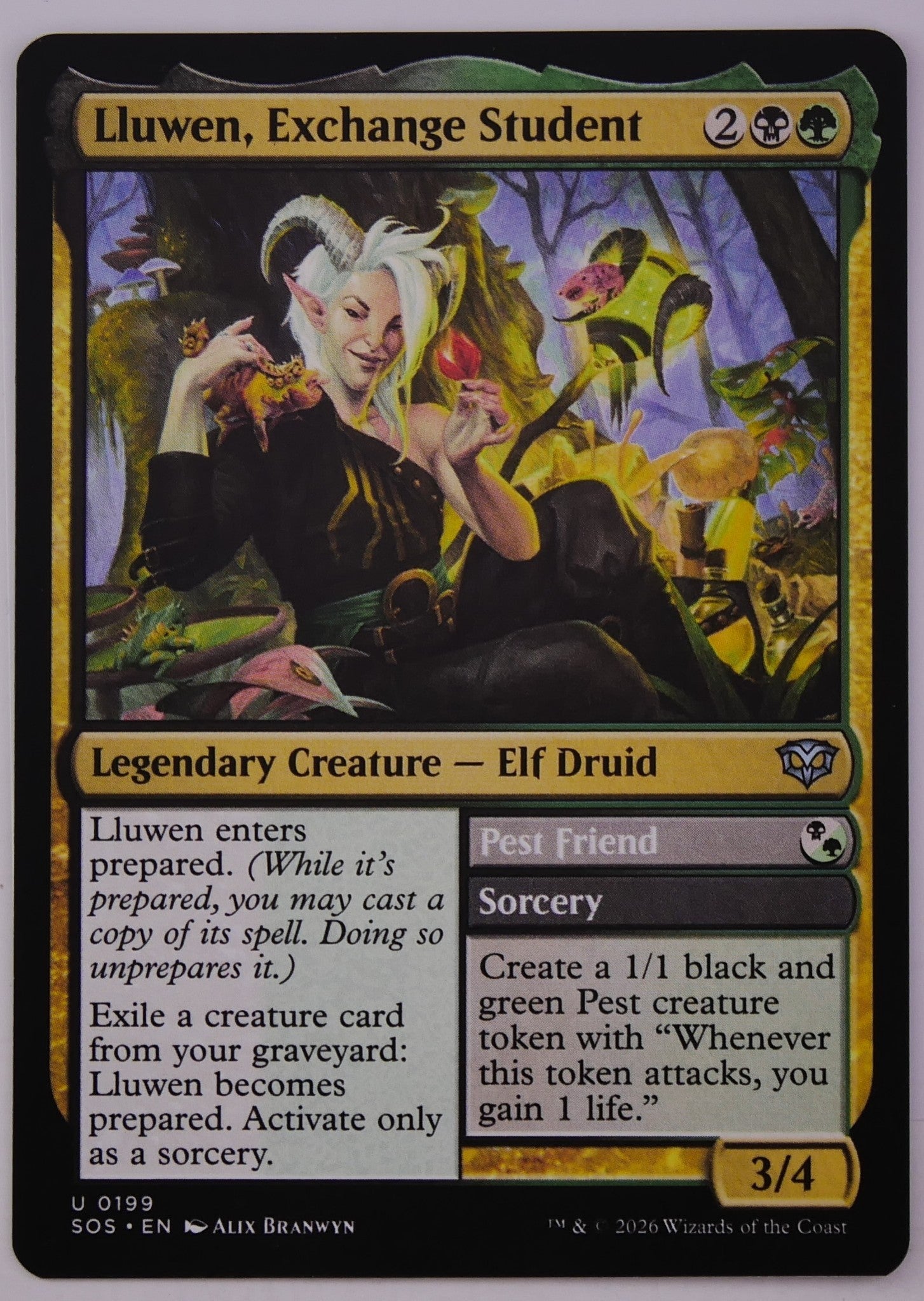 Lluwen Exchange Student SOS 0199 regular finish MTG Legendary Elf Druid card from Strixhaven School of Sorcery at DM Vault Co
