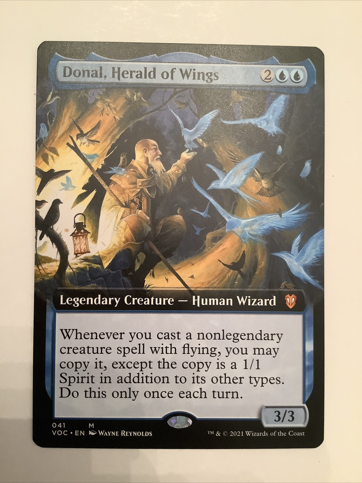 MTG VOW: Donal, Herald of Wings (Legendary Creature) Extended Art 041