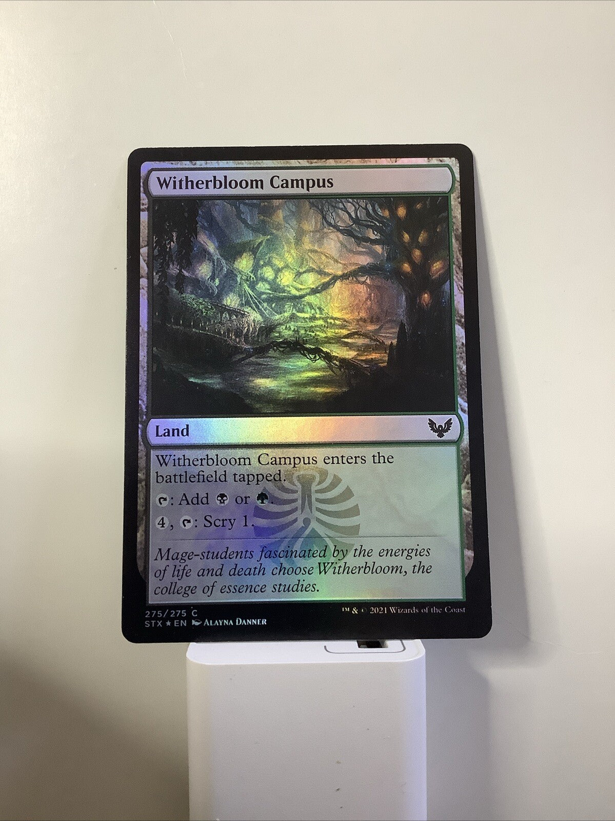 MTG STX: Witherbloom Campus Strixhaven: School of Mages Foil