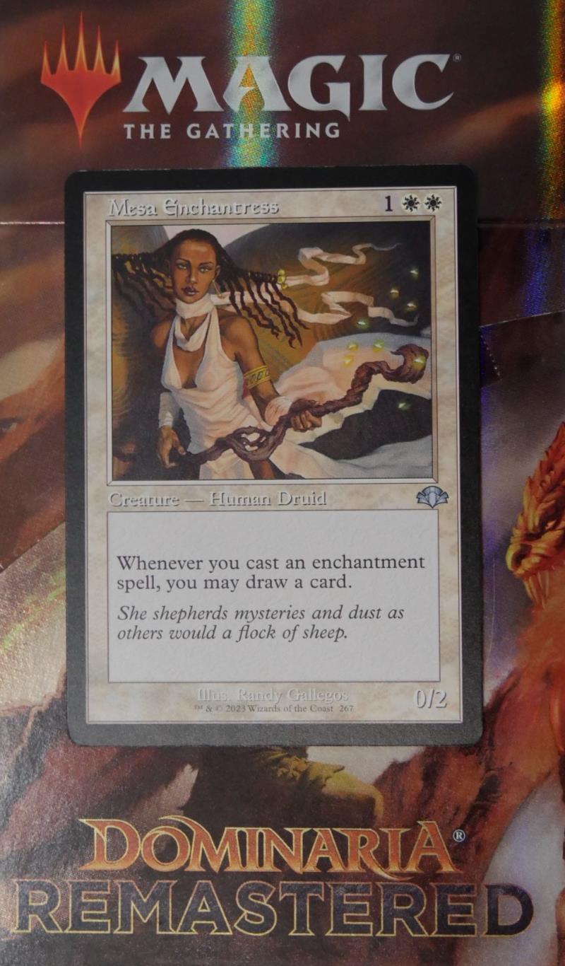 Magic: The Gathering Mesa Enchantress Retro Frame – MTG DMR uncommon