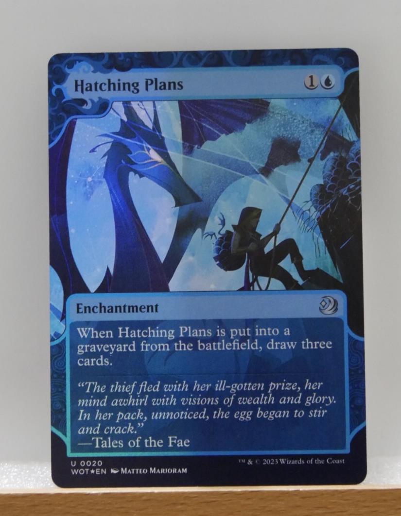 Hatching Plans Extended Art Foil WOT 20 MTG card